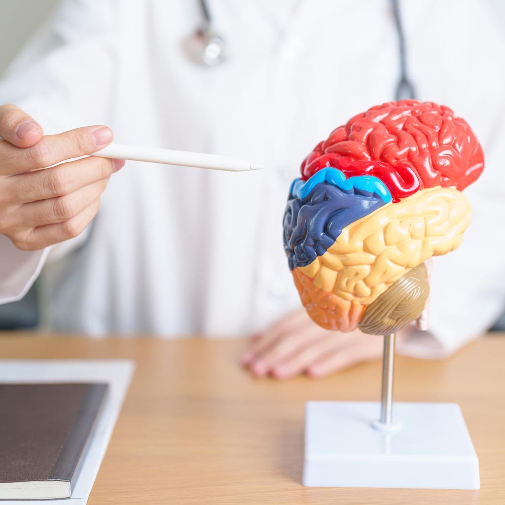 EECP Brain Health