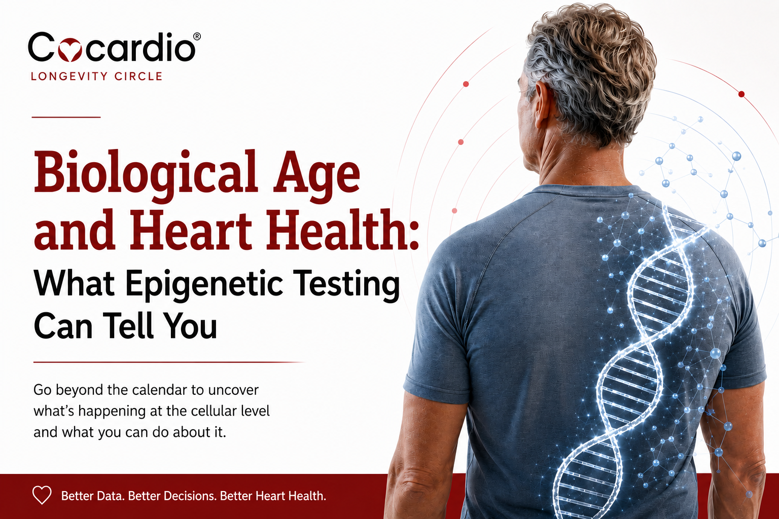 Biological Age and Heart Health: What Epigenetic Testing Can Tell You