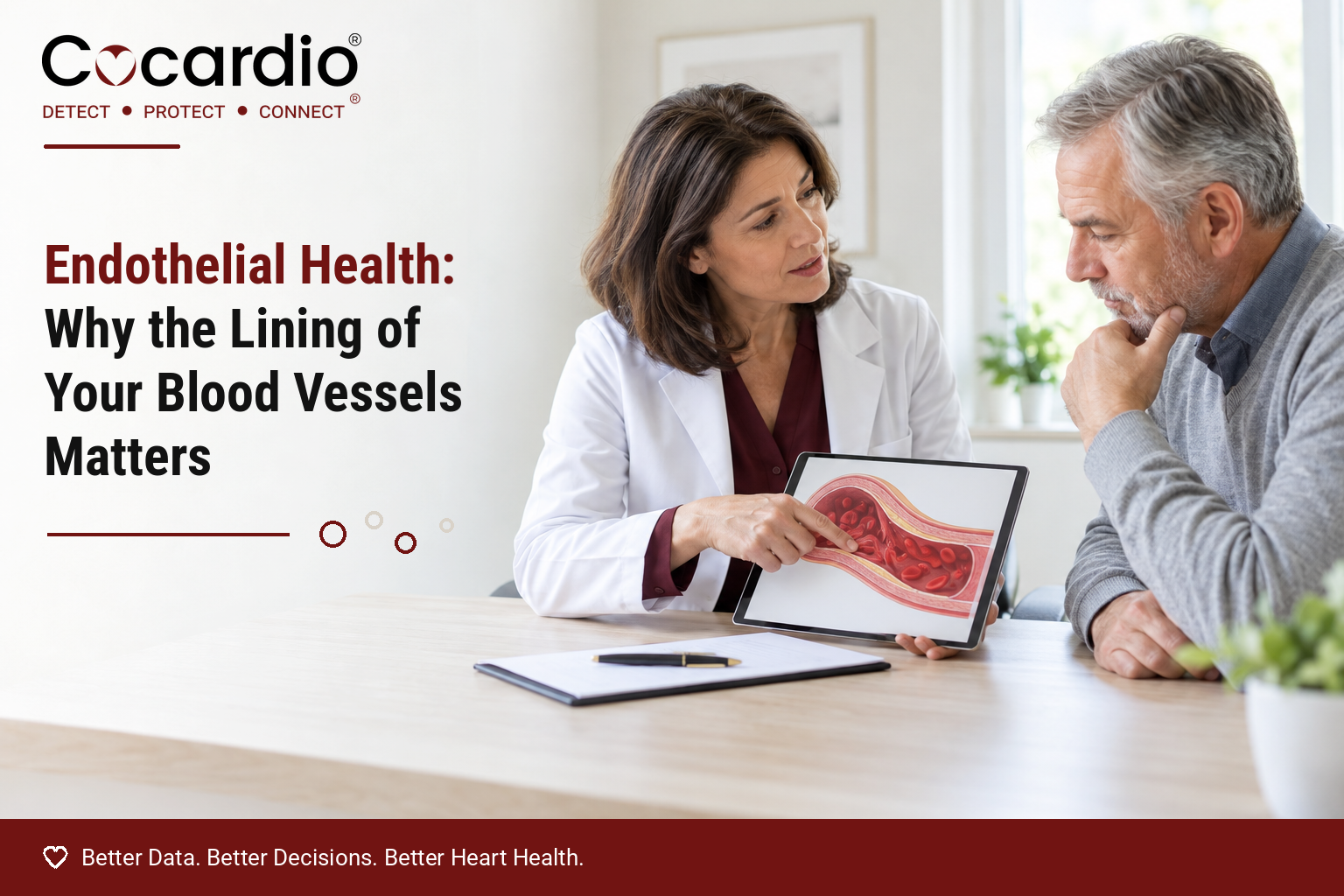 Endothelial Health: Why Your Blood Vessel Lining Matters